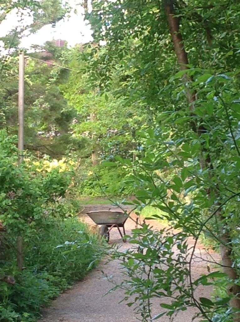 Garten im Nordkolleg